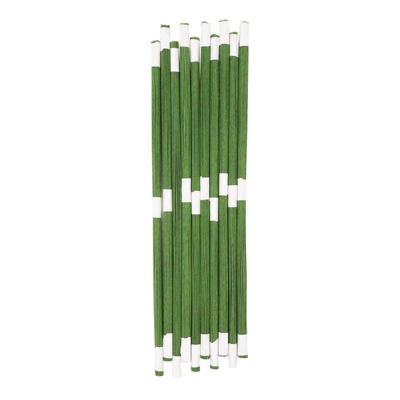 Just Flowers Floral Stem Wire Diameter 2MM Color Coated Flower Making Wire Accessory for DIY Bouquet Stem Wrapping and Crafts 12 Inch Green Pack of 100  - Image 1