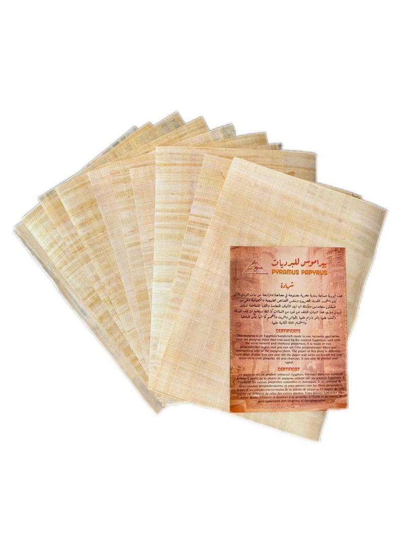 10 أوراق بردي مصرية فارغة للمشاريع الفنية والمدارس 8x12 بوصة 20x30 سم (ممتاز، الدرجة 1) - Image 1