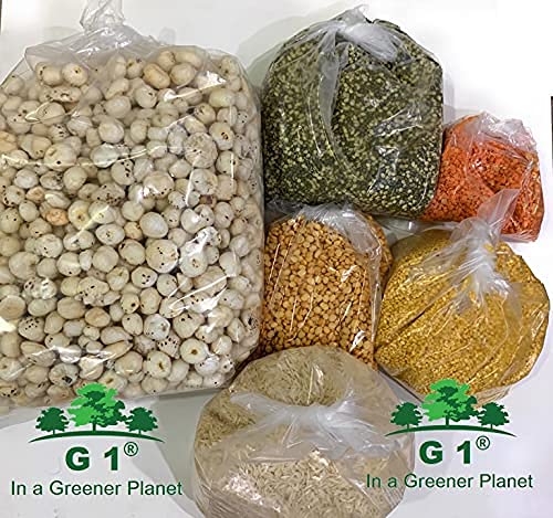 G1 G 1 Transparent Bags Multipurpose Grocery Bags Packaging Bags 51 Microns Thickness 2000 Grams 50 Pieces - Image 2