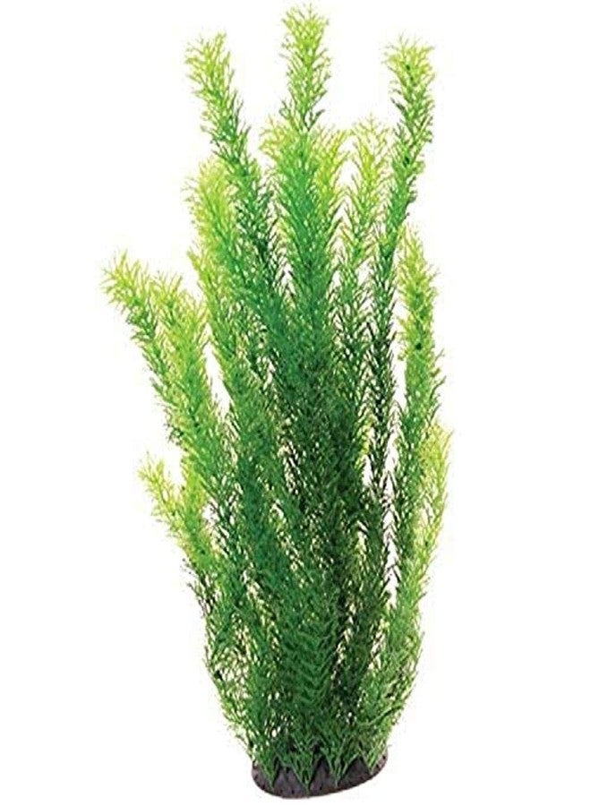 Underwater Treasures 20768 Cabomba, 20" - Image 2