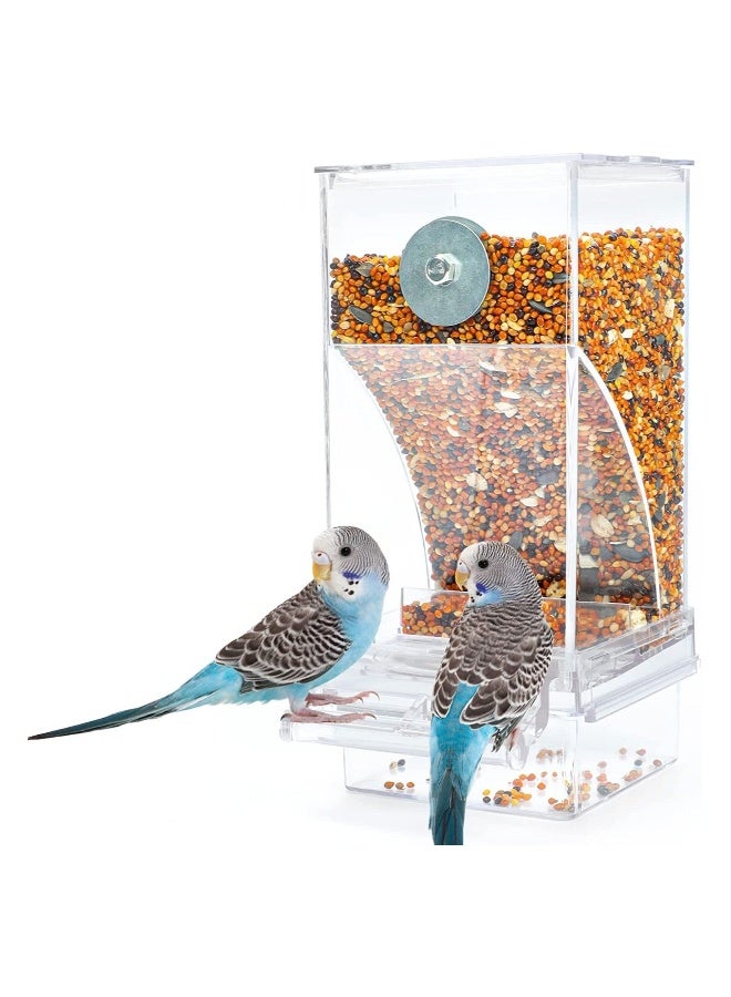 Parrot Automatic Feeder, No Mess Bird Feeder for Cage Parakeet Seed Food Container Acrylic Lovebirds Cage Accessories for Small Conures Budgies Canary Finches - Image 1