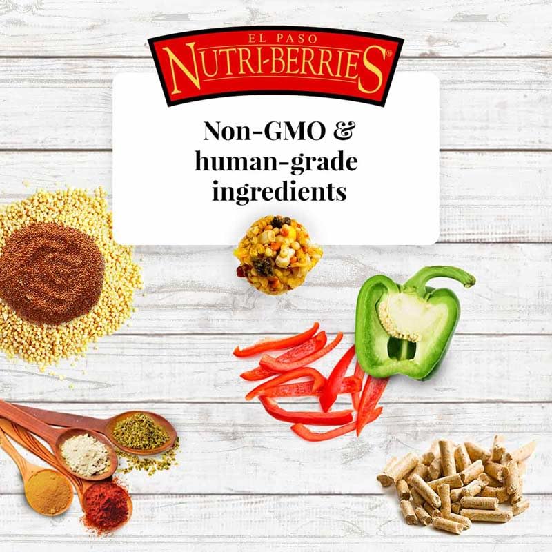 LAFEBER'S El Paso Nutri-Berries Pet Bird Food, Made with Non-GMO and Human-Grade Ingredients, for Parrots, 3 lb - Image 4