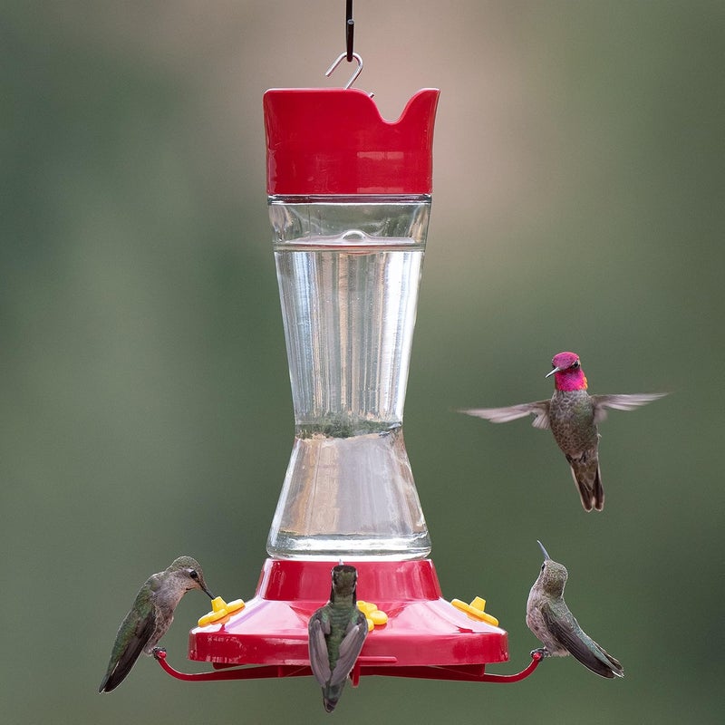Perky-Pet 210PB Pinch Waist Glass Hummingbird Feeder - Image 2