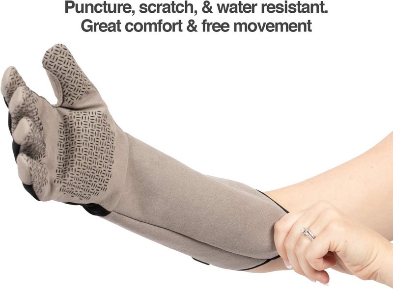 petfusion Multipurpose Pet Glove for Grooming, Trips to Vet, Handling. [Puncture & Scratch Resistant, Water Resistant]. 12 Month Warranty for Manufacturer Defects, Grey, Large (PF-HG1A) - Image 2