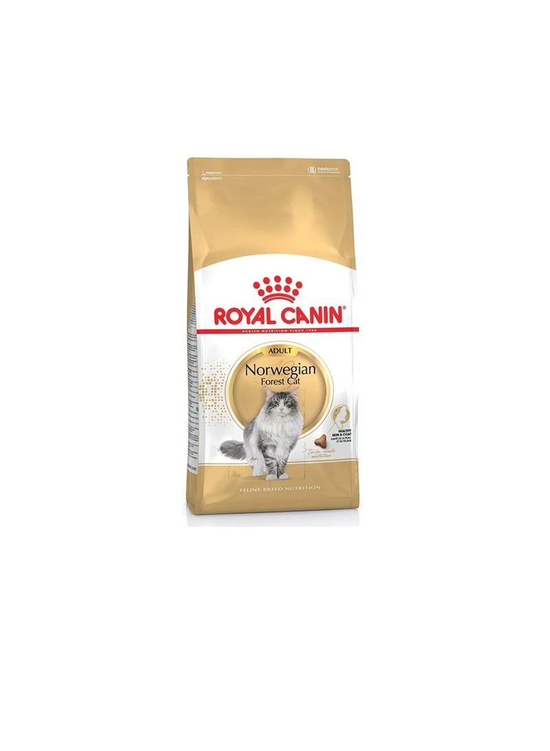 رويال كانين طعام جاف للقطط البالغة من الغابة النرويجية - Image 1