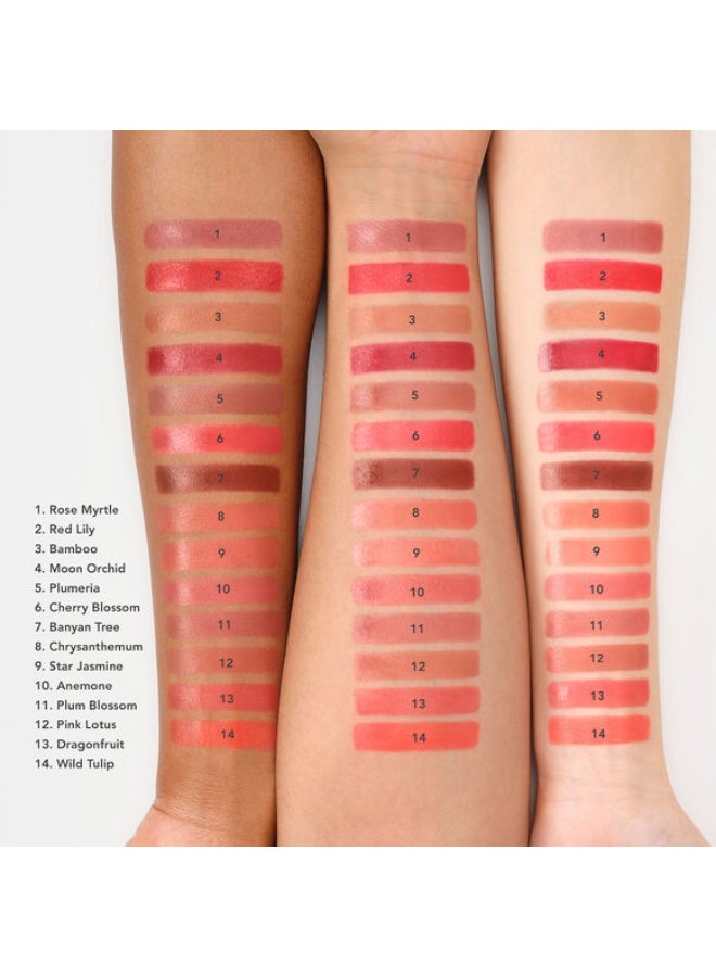 Chantecaille Lip Crème star jasmin 3g - Image 4