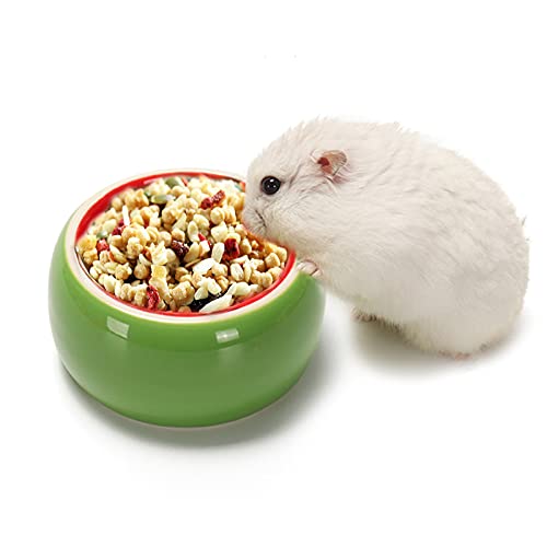 KRIZJUES 2 Pack Hamster Bowl Ceramic Prevent Chewing Feeding Bowl Guinea Pig Water Small Animal Food Dish for Syrian Hamster Rabbit Gerbil Chichilla Hedgehog Sugar Glider Rat - Image 3