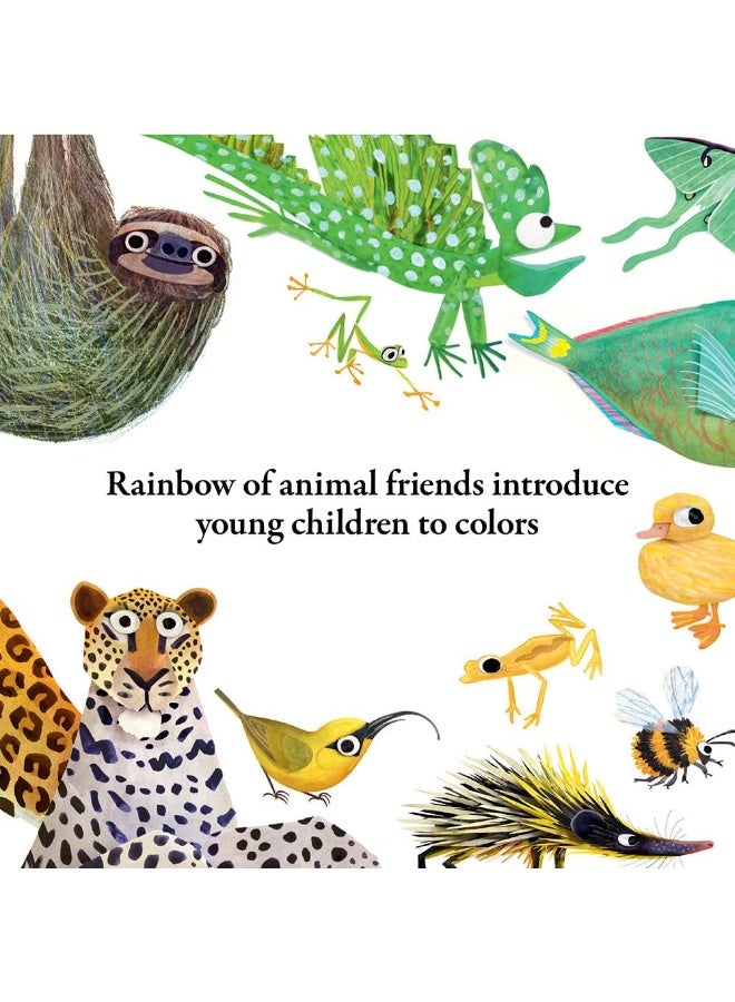 Hello Hello Colors - Image 2