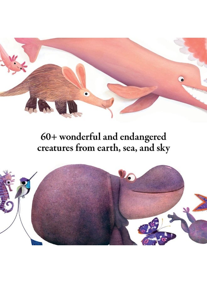 Hello Hello Colors - Image 4