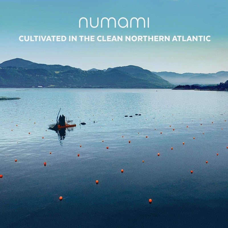 Numami Organic Atlantic Dulse Flakes - Premium Seaweed - Image 5