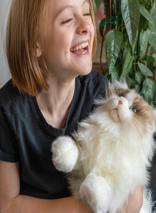 Chongker Weighted Stuffed Animals, 3lb 22" Realistic Plush Cat, Cuddling Soft Pillows for Children, Adults and The Elderly, Alleviate Stress Ragdoll Cat - Image 5