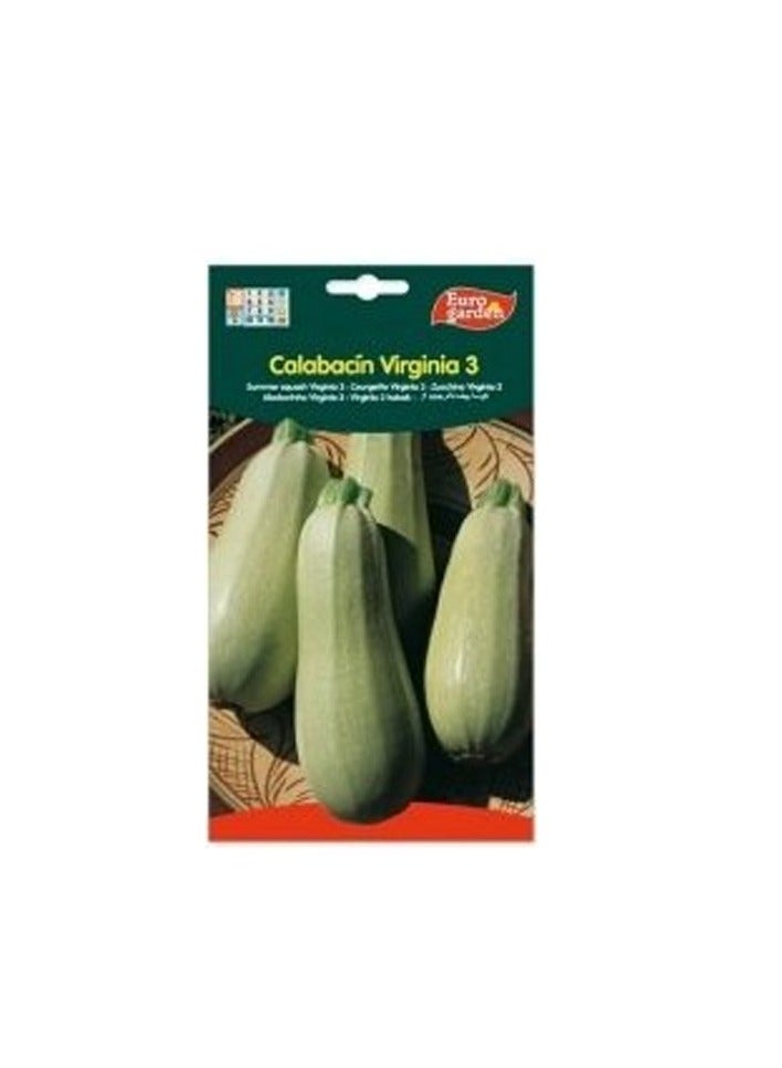 KNP Calabacin Summer Squash Virginia Seeds
