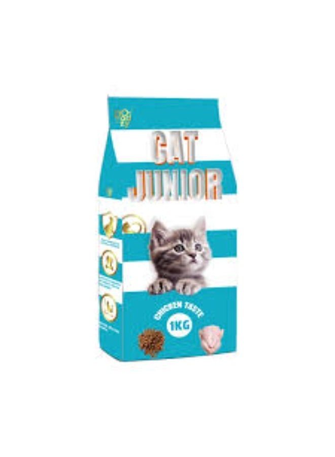 Doodzy Junior Cat Dry Food Chicken 1kg - Image 1