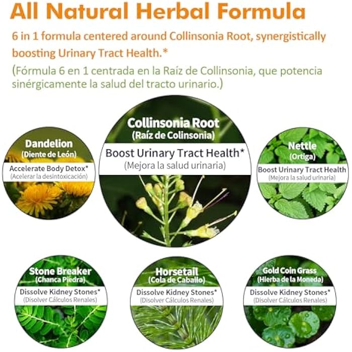 Nurbetoxa قطرات كولينسونية (جذر الحجر) لصحة المسالك البولية، مكمل طبيعي عشبي مع مستخلص شنك بييدرا لدعم حل حصوات الكلى وتنظيف الجسم. 2 أونصة - Image 4