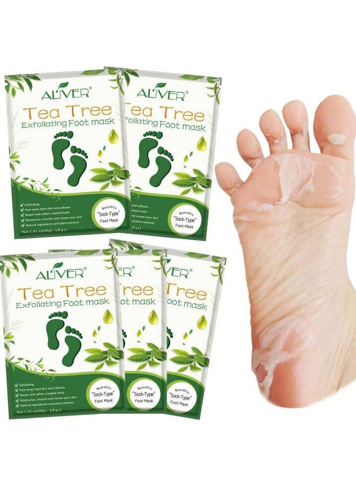 Pack Of 5 Tea Tree Exfoliating Foot Mask - pzsku/ZF8D4A56E5175AA69FE85Z/45/_/1686642850/7e78cd15-1299-4d03-ae37-b49336be1ed0