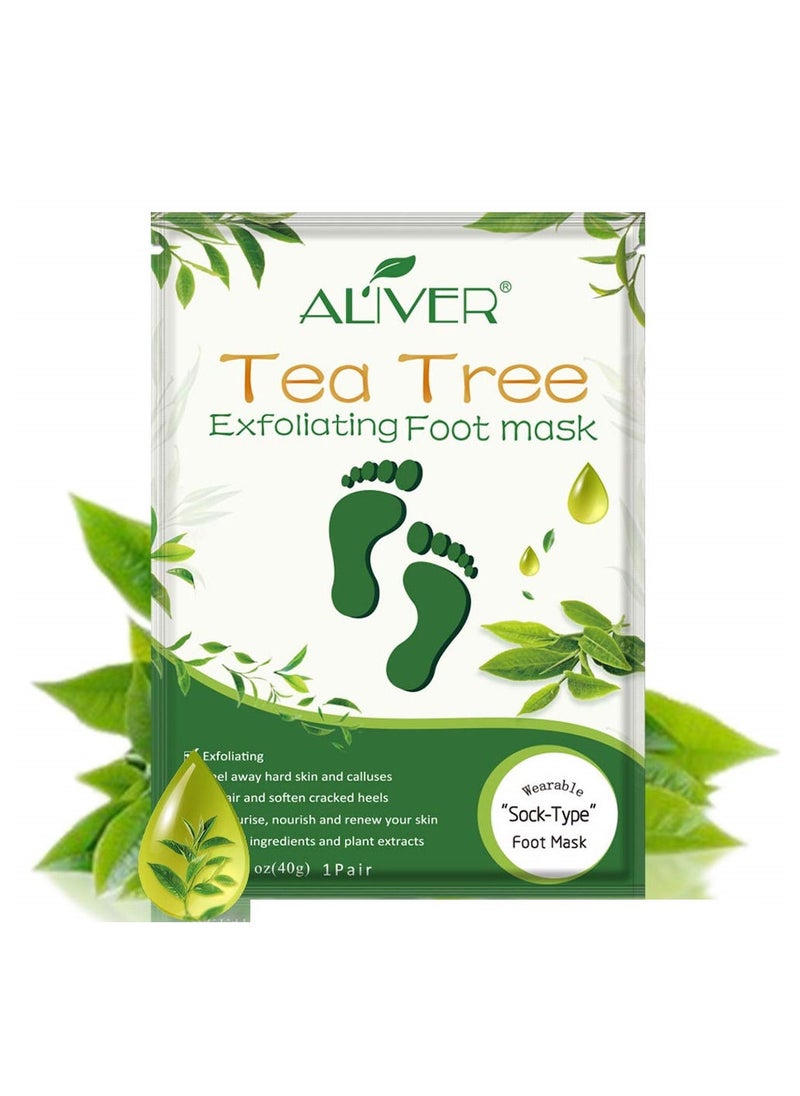 Pack Of 5 Tea Tree Exfoliating Foot Mask - pzsku/ZF8D4A56E5175AA69FE85Z/45/_/1686642851/f51af100-7e5f-433b-afdf-a947d101811d