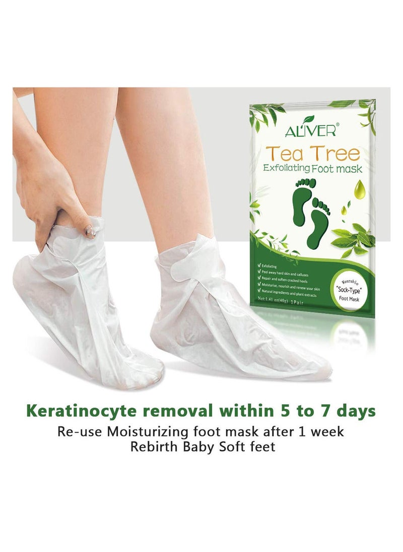 Pack Of 5 Tea Tree Exfoliating Foot Mask - pzsku/ZF8D4A56E5175AA69FE85Z/45/_/1686642852/9da390f1-633b-45d1-822f-73ef33e350a9