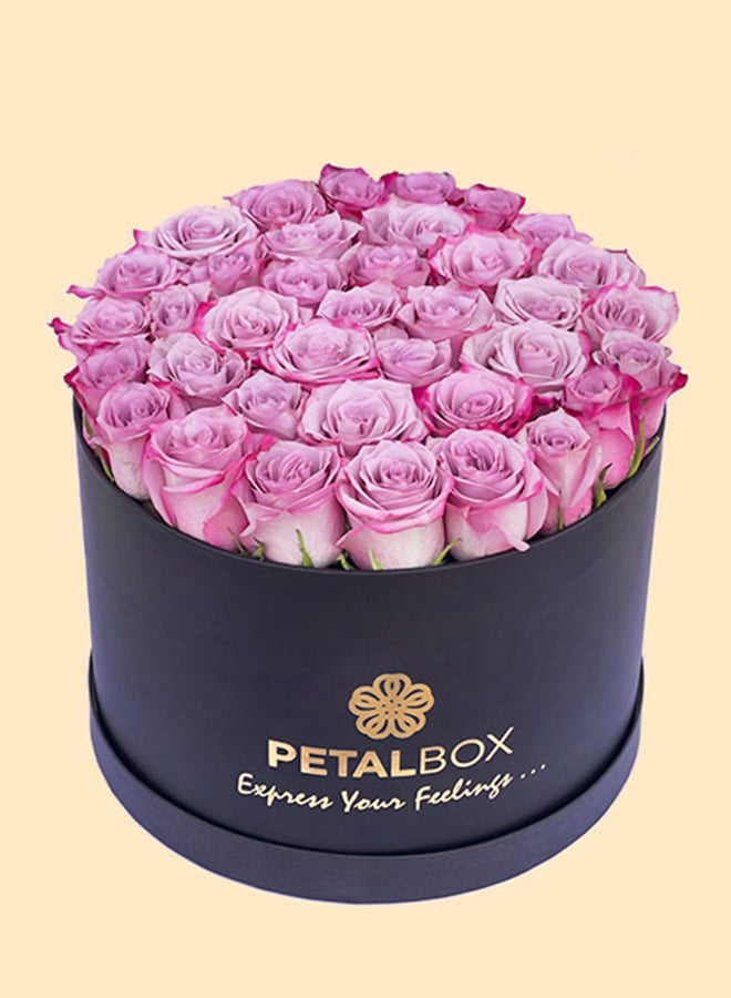 40 Pieces Purple Roses In Black Box