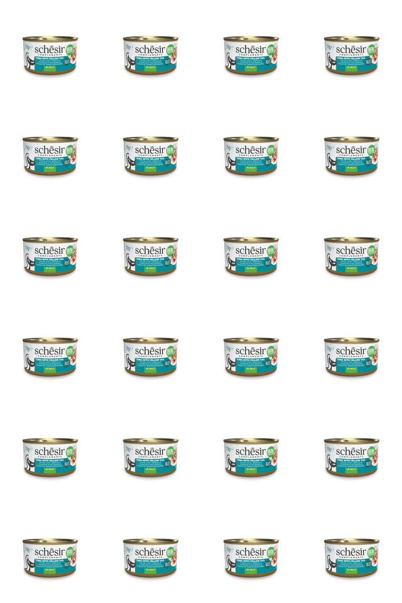 Schesir Complements Cat Wet Food in Jelly Can- Tuna With Yellow Tail 70g x 24 pcs - Image 1