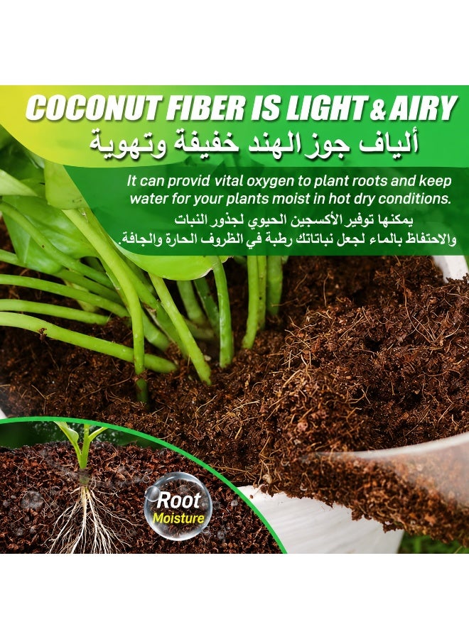 550gms Coco Coir Brick for Plants, Premium 100% Organic Peat moss mix With Low EC PH Balance, Fiber Coconut Husk for Planting, Gardening, Potting Soil Substrate (6 Block) - Image 5