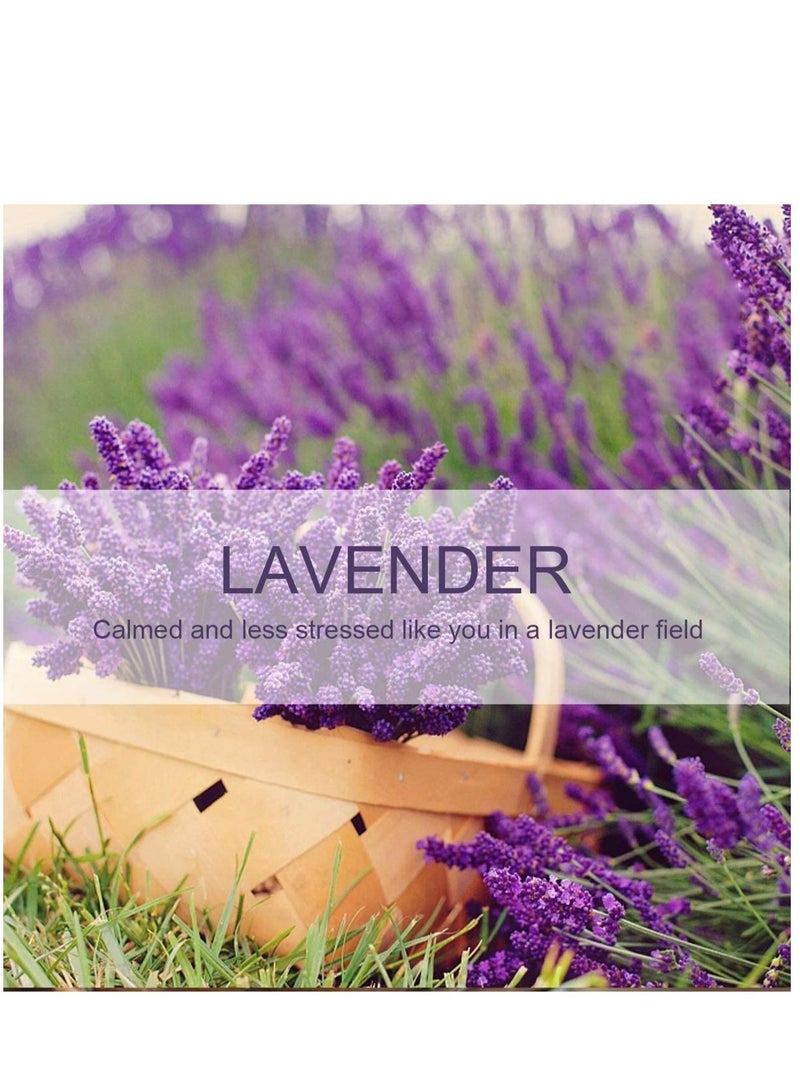 Captaintech Lavender Sachet 1 Box 12Pcs Cartoon Design Sachet Scent Drawer Freshener Car Fragrance Pendant Lasting Fragrance Deodorizer Freshener for Drawers and Closets Home Car Fragrance Product - Image 2