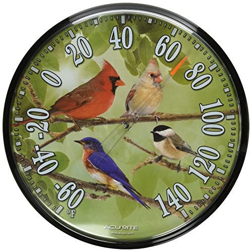 Acurite AcuRite 01781 125Inch Wall Thermometer Songbirds Pack of 1 Multicolor