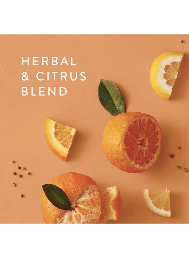 Thymes Hand Wash Refill 24.5 Fl Oz Mandarin Coriander - Image 3