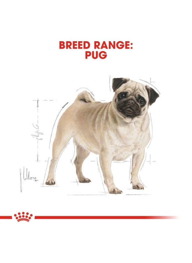 ROYAL CANIN Breed Health Nutrition Pug Adult 7.5 KG - Image 2