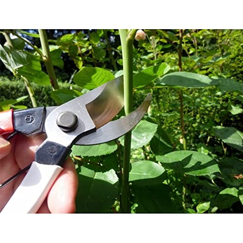 Okatsune Pruning Shears Unique 8.3 inches (210 mm) (Blister) No. 104 - Image 5