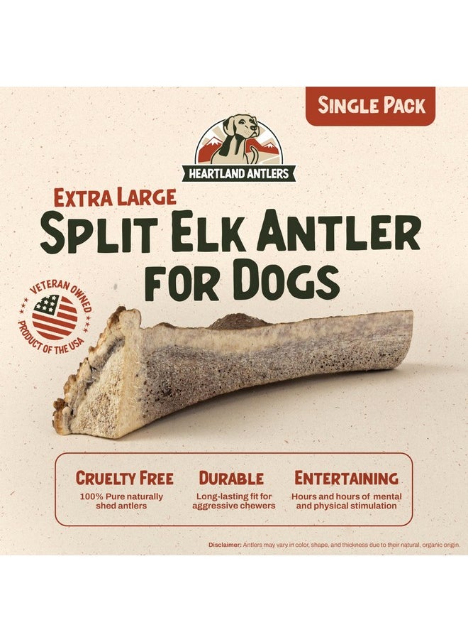 Heartland Antlers Heartland Elk Antlers for Dogs - Grade A, Naturally Shed Antlers | Dog Bones for Aggressive Chewers & Teething Puppies | All Breeds Chew Toy USA Made & Veteran Owned (Split Elk: 8+", X-Large, 1-Pack)  - Image 2