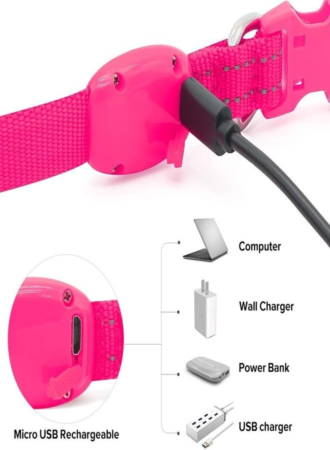 BSEEN Light Up Dog Collar - Reflective LED Dog Collar Rechargeable Glowing Pet Collar for Puppies & Cats, Safety Dog Lights for Night Walking (Pink) - Image 3