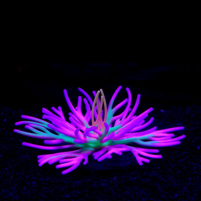 Generic Silicone Soft Simulation Sea Anemone Aquarium Decorations Cross-Border E-commerce Fish Tank Landscape Decorations Home Goods Pink 