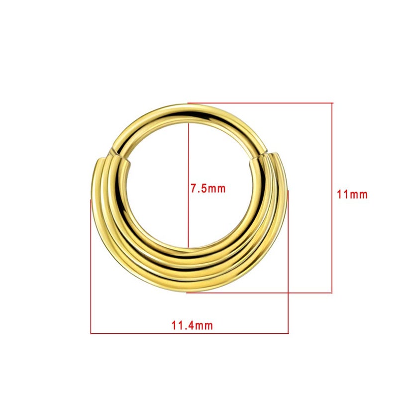FANSING Septum Jewelry Septum Ring 16g 316L Surgical Steel Nose Rings Hoop Stacked Daith earrings Ear Helix Piercing Jewelry for Women 8mm Septum Hoop 18k Gold-plated Hinged Seamless Clicker 16 Gauge - Image 2