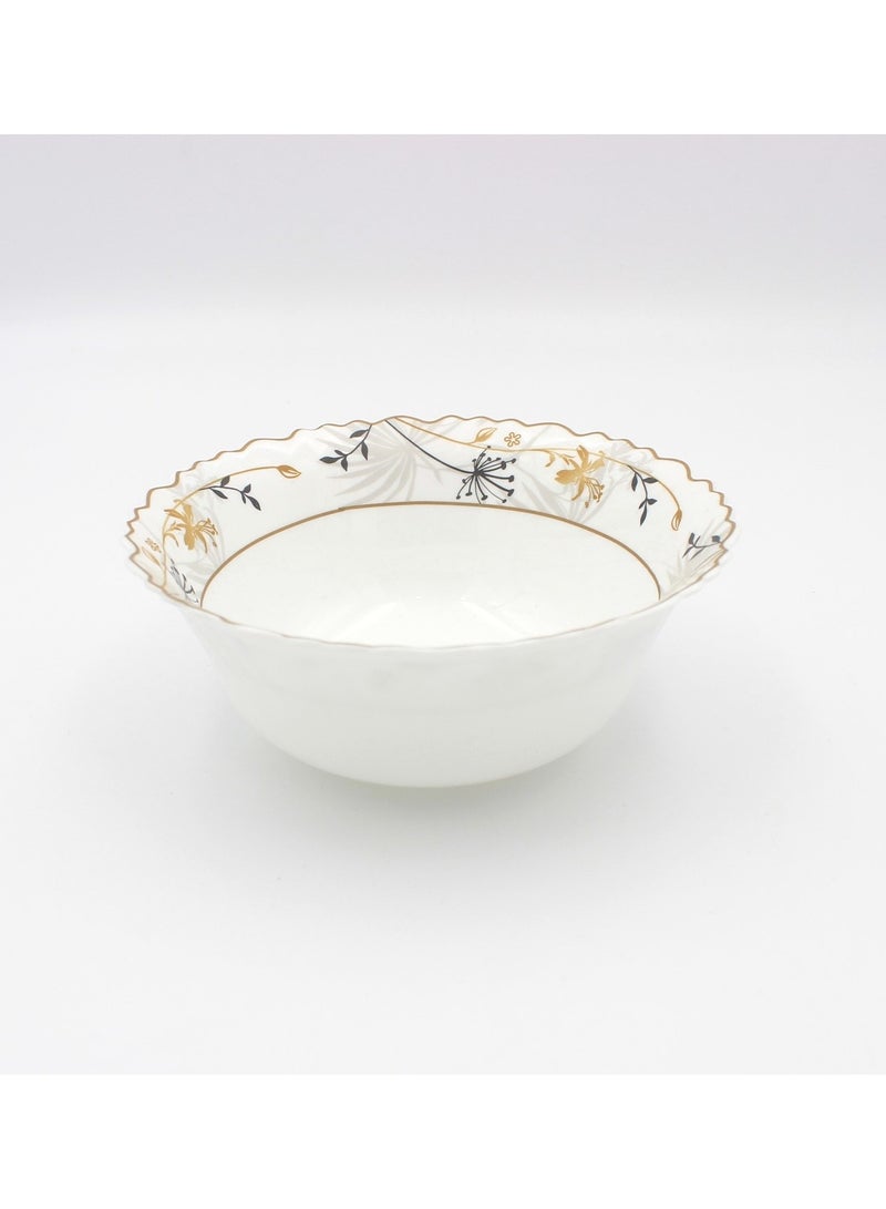 Danny home 12 pcs Opalware Dinnerware set Dishwasher Microwave Freezer Safe, BPA-Free Break Scratch Heat Resistant Dinner Soup Dessert Serving Plates, Medium & Large Bowls - Image 2