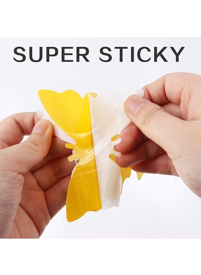 Fruit Fly Traps Fungus Gnat Traps Yellow Sticky Bug Traps 36 Pack Non-Toxic and Odorless for Indoor Outdoor Use Protect The Plant - Image 4