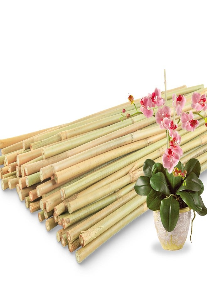 Avalution 50Pcs Bamboo Plant Stakes for Indoor Outdoor Plants, 0.32''-0.4''/18 Inch Bamboo Sticks Garden Support Stakes Bamboo Poles Trellis for Tomato Vegetables Beans Trees Potted Climbing Plants - Image 1