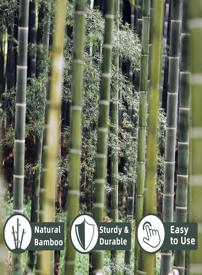 Avalution 50Pcs Bamboo Plant Stakes for Indoor Outdoor Plants, 0.32''-0.4''/18 Inch Bamboo Sticks Garden Support Stakes Bamboo Poles Trellis for Tomato Vegetables Beans Trees Potted Climbing Plants - Image 2