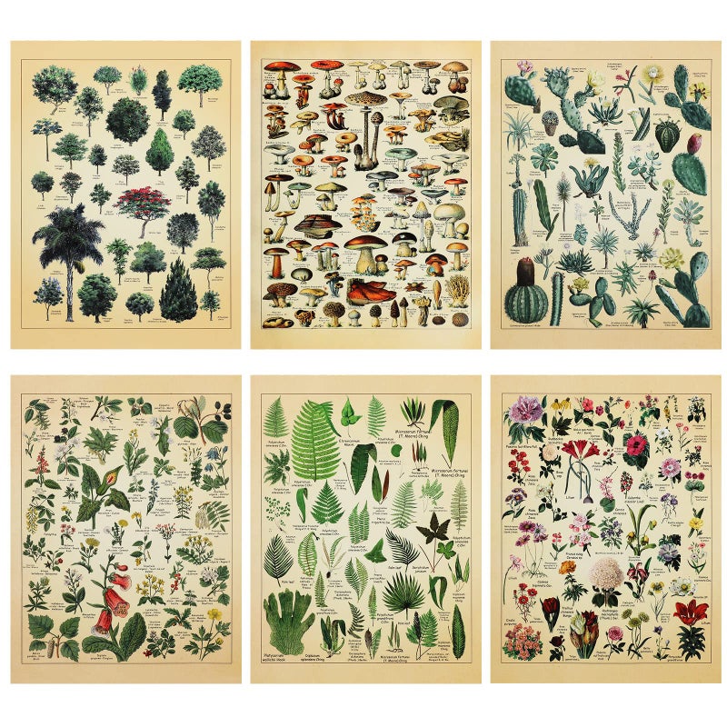 Fainne Set of 6 Plant Poster Vintage Botanical Prints 12 x 16 Inch paper Decorative Wrap Poster Tree Art Picture Vintage Mushroom Floral Nature Decor Cactus Prints