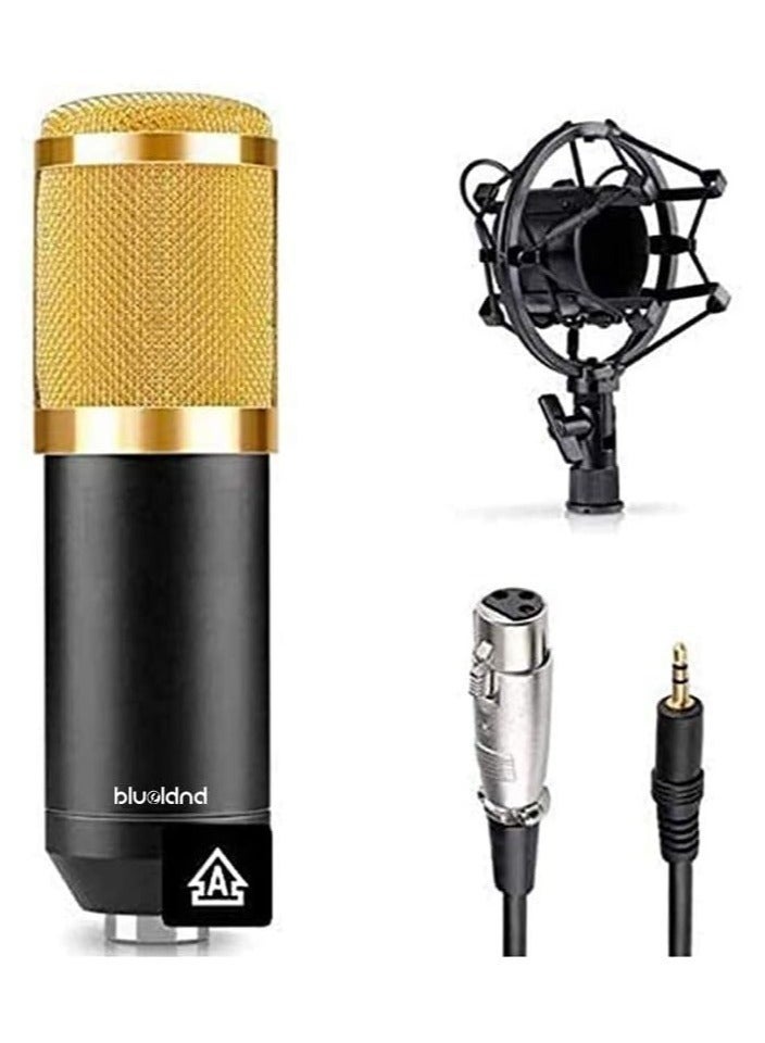 Gravity Blueland Microphone,Live Sound Card & BM800 Suspension Microphone Kit Broadcasting Recording Condenser Microphone Set Intelligent Volume Audio Mixer Sound Card for Computer PC Live Sound - Image 2