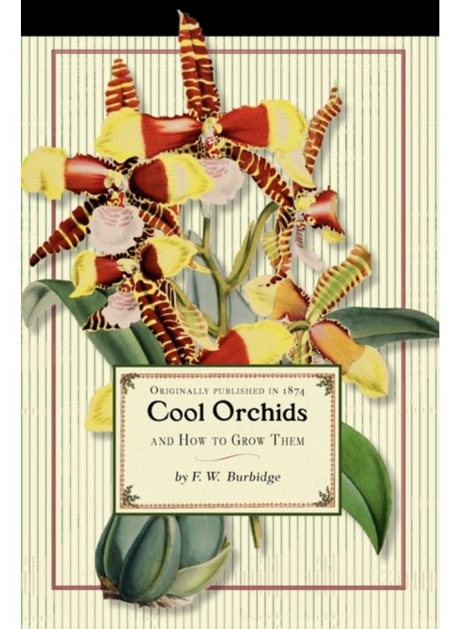 Cool Orchids - Paperback