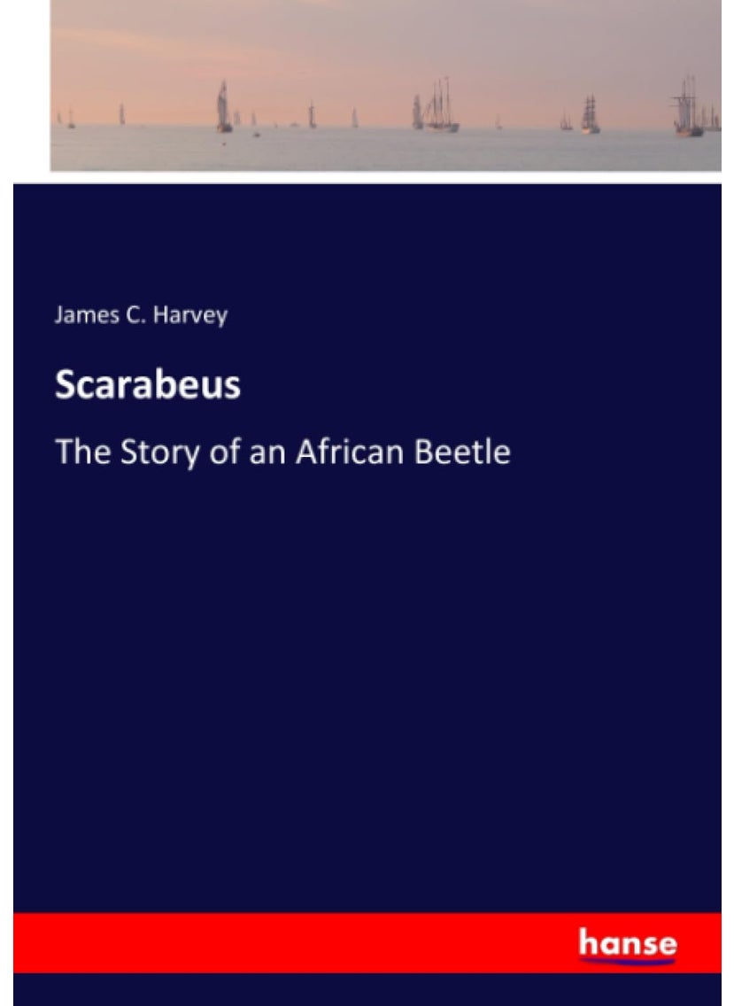 Scarabeus: The Story of an African Beetle  - Image 1