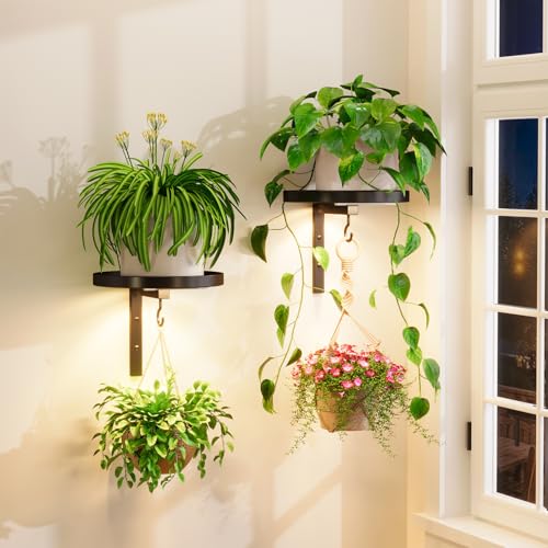 iDavosic.ly iDavosicly Wall Plant Holder with Grow Lights Set of 2 for Indoor Outdoor Metal Hanger with 2 Hooks Floating Flower Display Stand for Window Space Saving Easy to Assemble Pots Not Included - Image 1