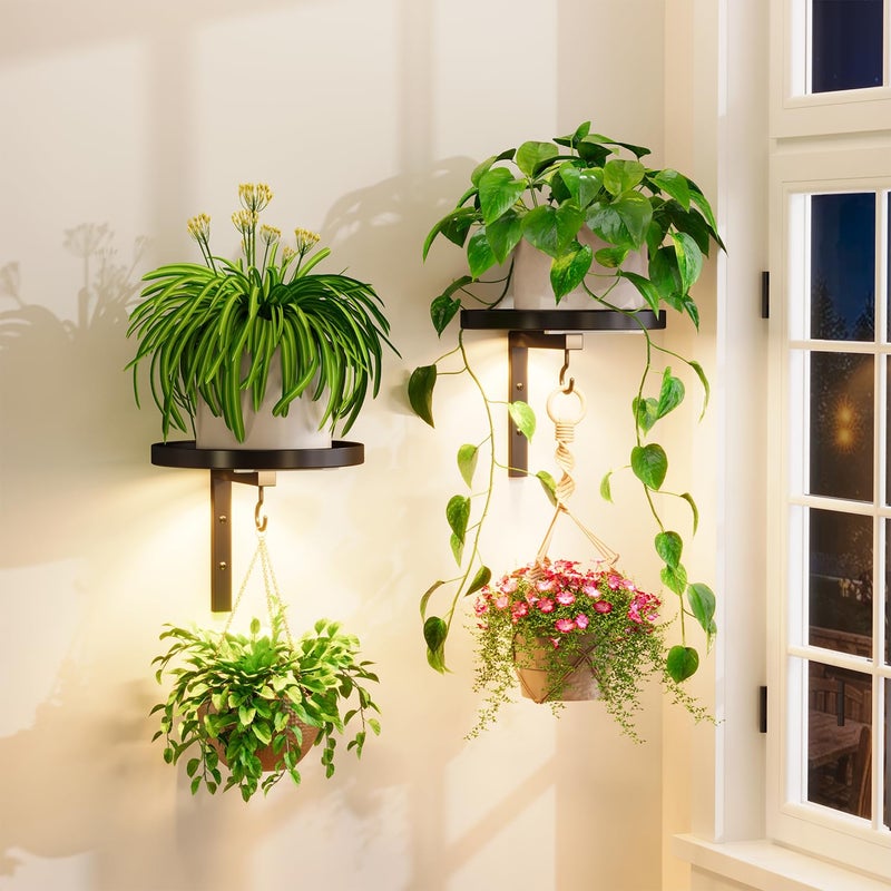 iDavosic.ly iDavosicly Wall Plant Holder with Grow Lights Set of 2 for Indoor Outdoor Metal Hanger with 2 Hooks Floating Flower Display Stand for Window Space Saving Easy to Assemble Pots Not Included - Image 2