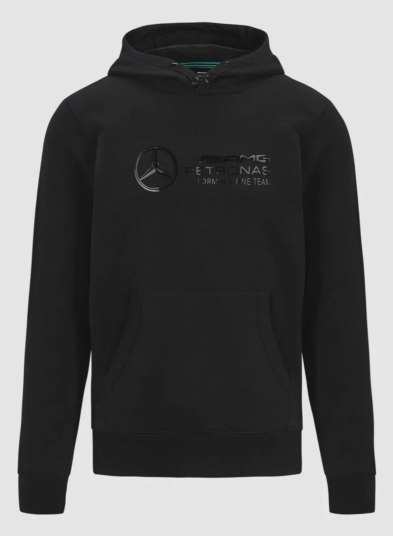 AMG Petronas Formula 1 Team  Mercedes AMG Petronas F1 Stealth Logo Hoodie for Men | Best Price UAE