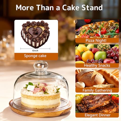 Ikerall 8 Inch Wooden Base Cake Display Stand with Glass Dome,Cloche Clear Glass Bell Jar Cover for Dessert Cheese Candy Plants Succulents（for Sizes up to 6.5 "） - Image 3