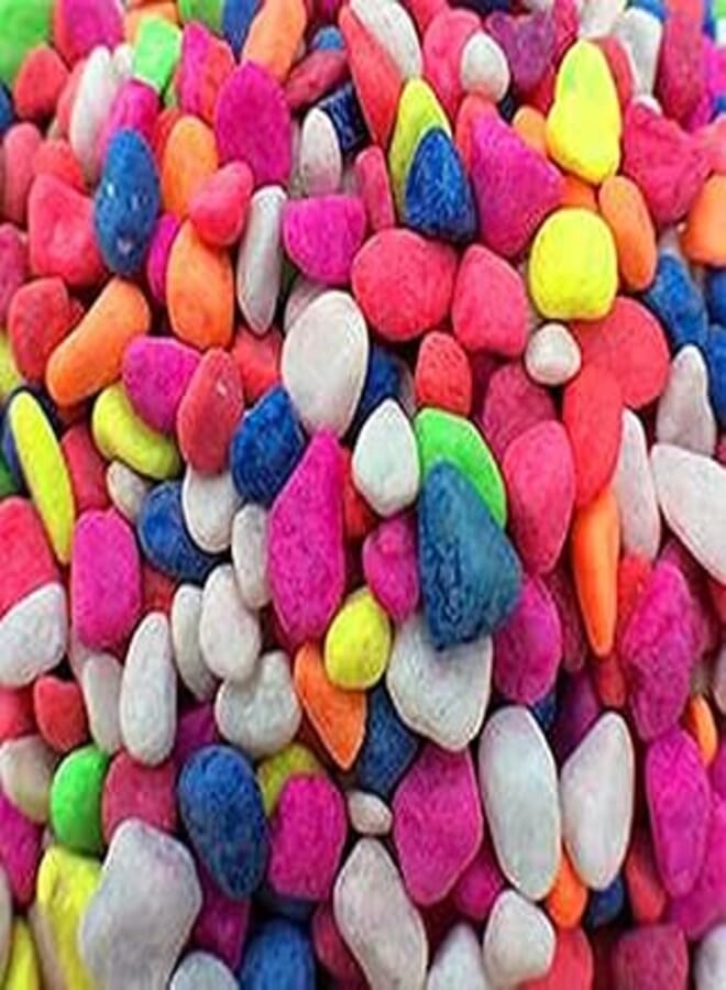 Aquarium Substrate Colorful Gravels 1 Kilo Xl Size