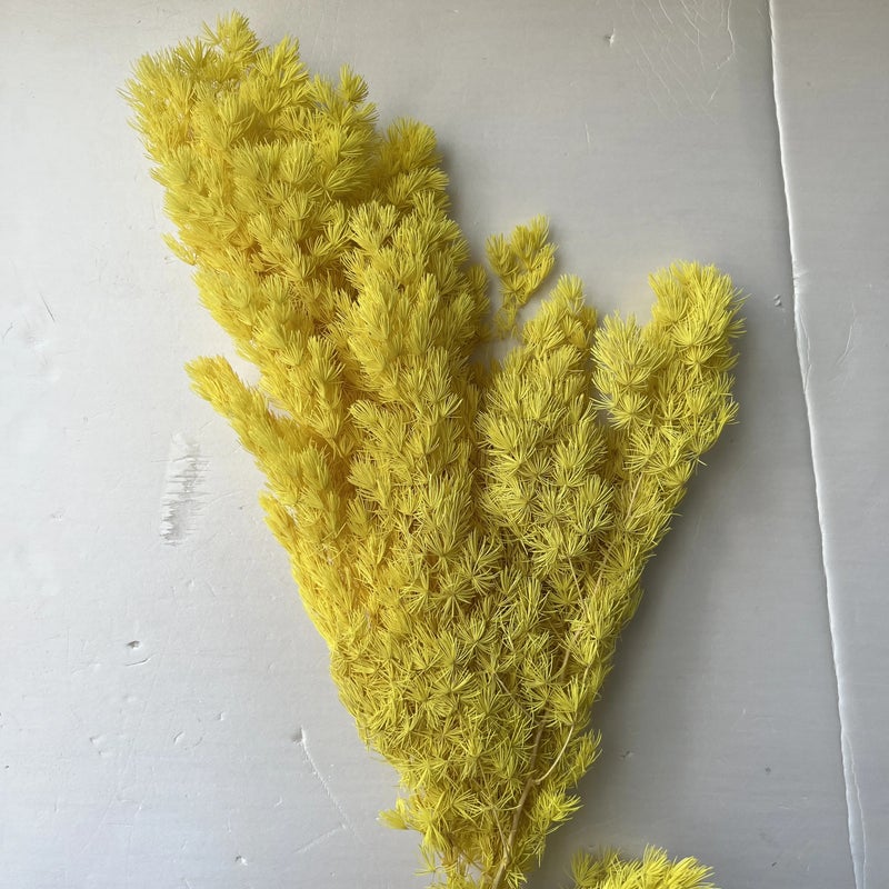 Bluejw Manufacturers Penglai Pine Dried Flower Bouquet - New Color Dried Plants for DIY Home Decor - Image 1
