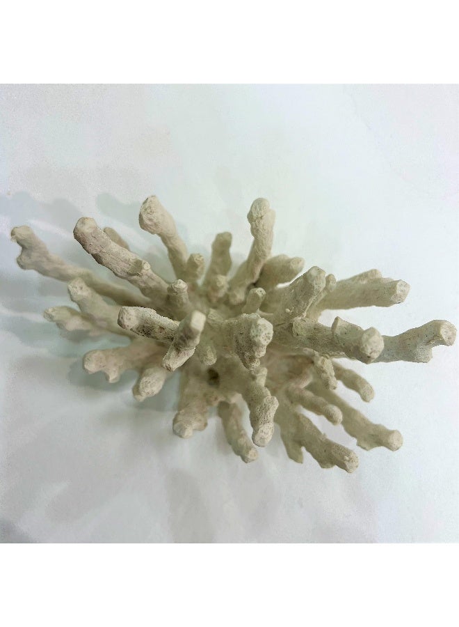 Abbott Collection 20-SEASHORE/40 Large White Flower Coral Decorative Resin Figurine - Image 5
