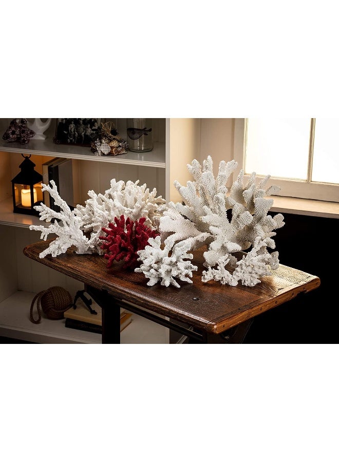 Abbott Collection 20-SEASHORE/40 Large White Flower Coral Decorative Resin Figurine - Image 3