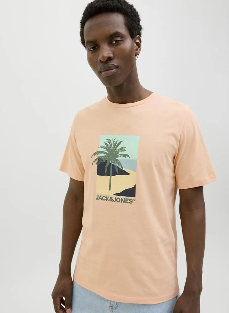 JACK & JONES JJBARBADOS TEE SS CREW NECK